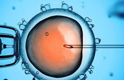 2026国内比较出名的10大助孕机构：试管婴儿选择指南