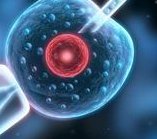 2026乌鲁木齐最大型的助孕公司名单实时发布，乌鲁木齐市排名前十机构名单含费用