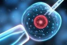 2026兰溪市最新男性陪产假有多少天？试管婴儿可以增加产假吗？