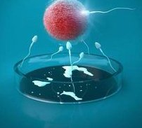 2026东营试管婴儿医院费用大概花多少钱？排名前五医院总花销