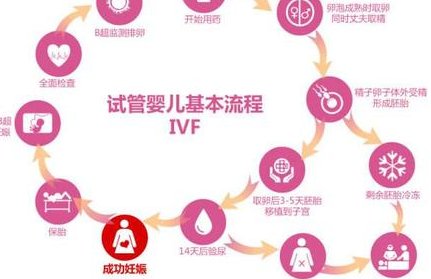 2026上海九院试管婴儿单次价格预估(检查+促排1万起步)
