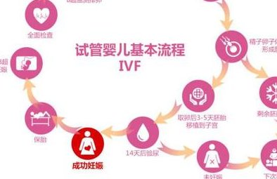 2026上海试管婴儿费用明细 教你挑选比较好的试管婴儿医院